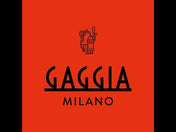 Gaggia Anima Barista Plus Coffee Machine