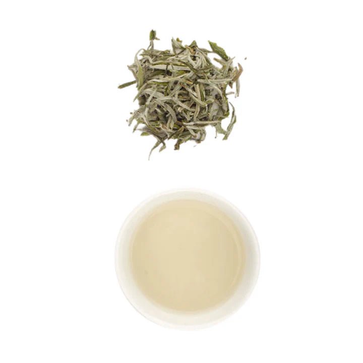 T - bar Silver Needles Premium White Tea - Prestige Coffee - T - bar - 25g loose leaf tea
