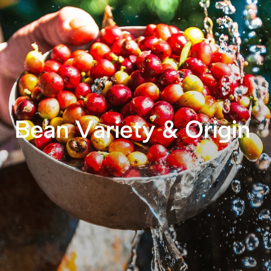 From Bean to Cup: The Journey of Your Morning Coffee - Prestige Coffee