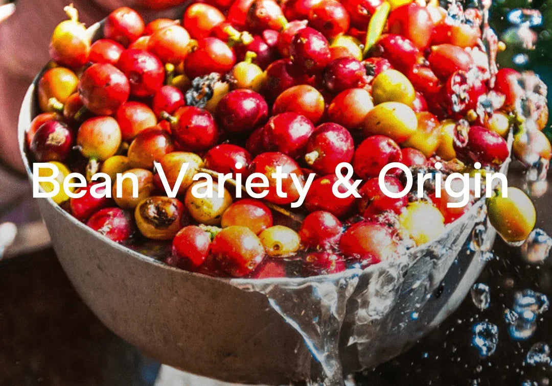 From Bean to Cup: The Journey of Your Morning Coffee - Prestige Coffee