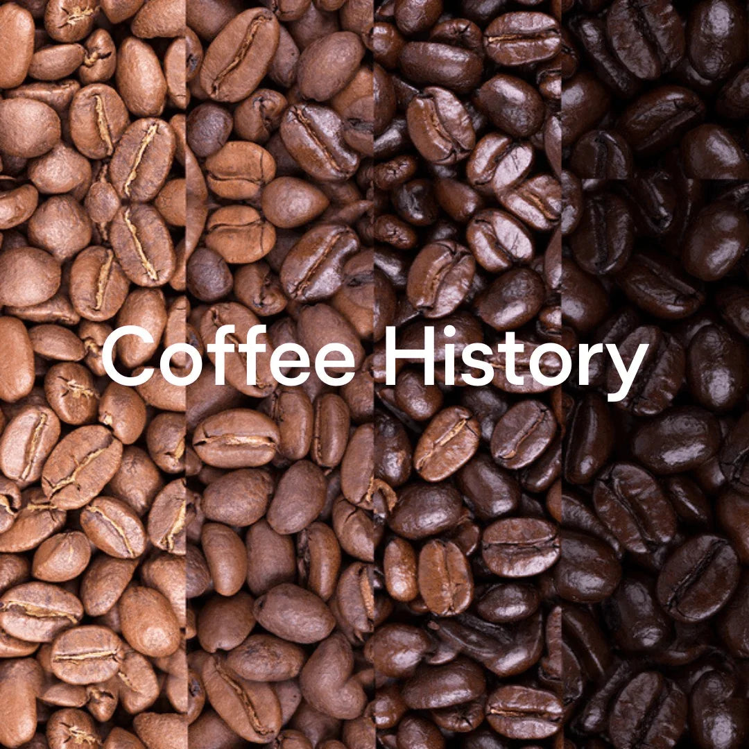Immersing Yourself in the Richness of Australian Coffee Culture - Prestige Coffee