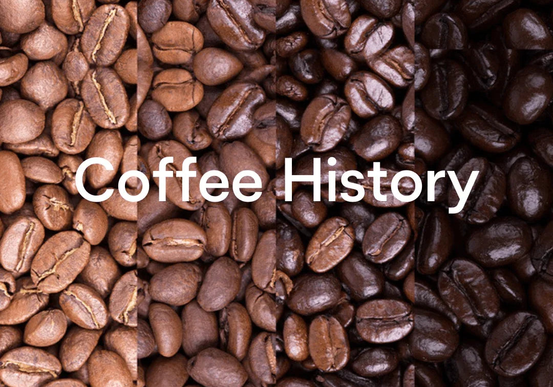 Immersing Yourself in the Richness of Australian Coffee Culture - Prestige Coffee