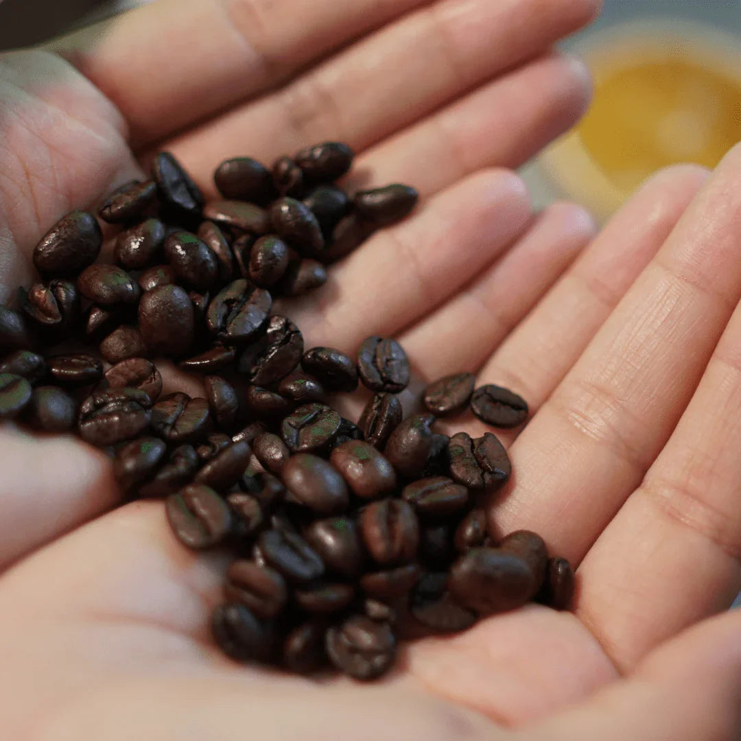 The Ultimate Guide to Using Leftover Coffee Grinds - Prestige Coffee