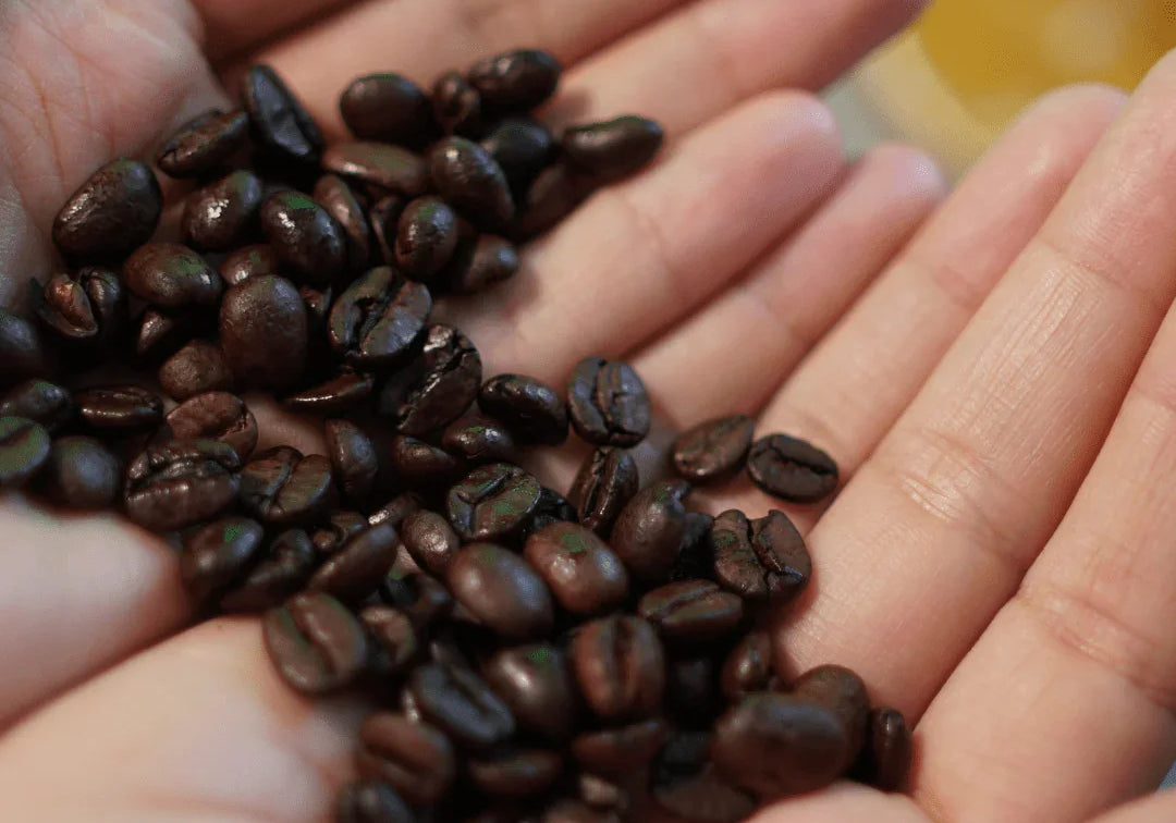 The Ultimate Guide to Using Leftover Coffee Grinds - Prestige Coffee