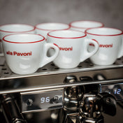 La Pavoni Botticelli Specialty LPSBSS03AU detail