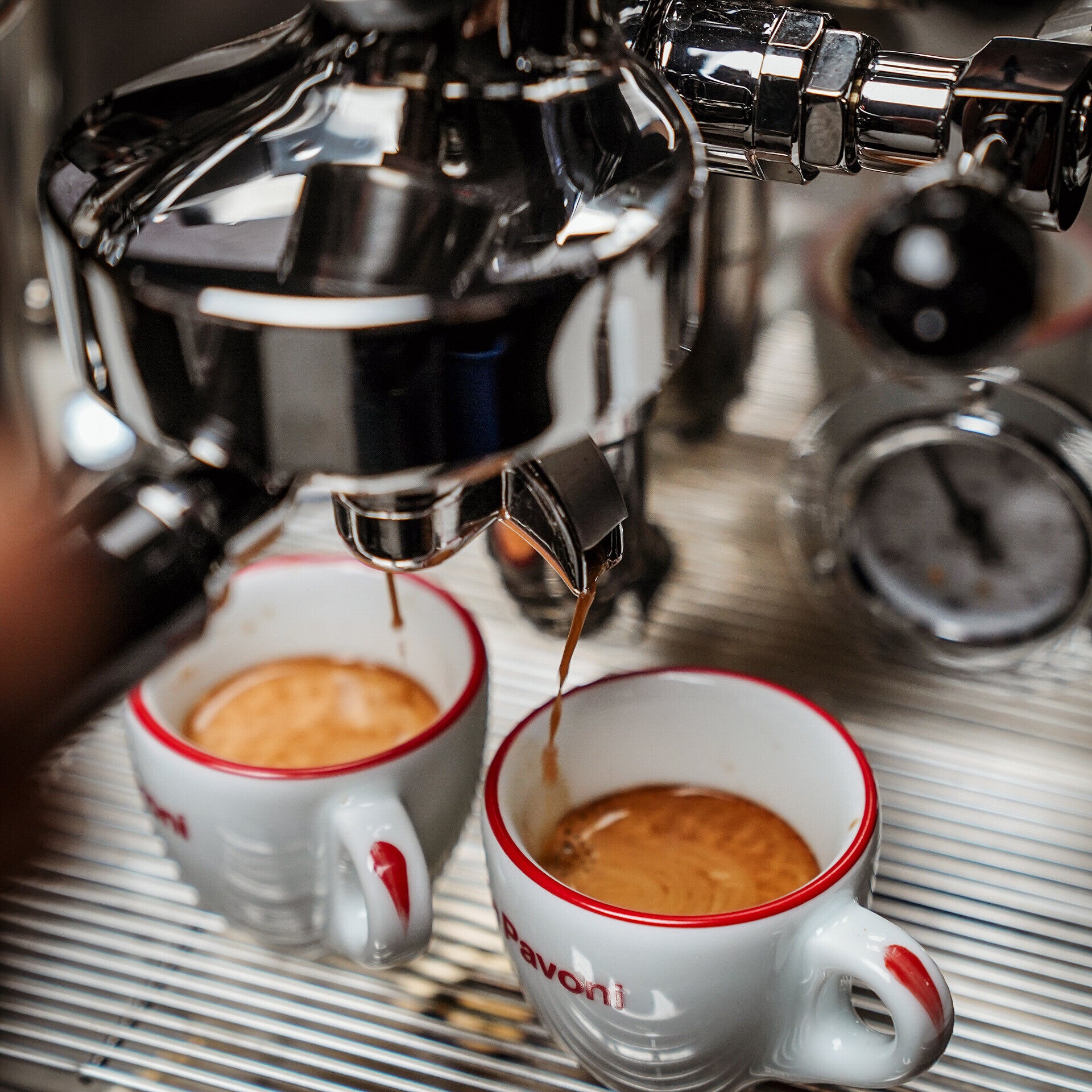 La Pavoni Botticelli Specialty LPSBSS03AU detail