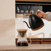 Brewista Artisan 1.0L Kettle - Matte Black