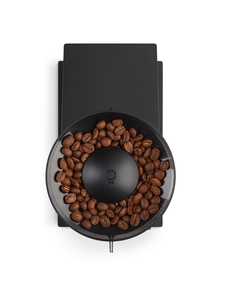 Fellow Opus Conical Burr Grinder - Prestige Coffee-Fellow-Matte Black