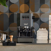 Gaggia Classic E24 V2