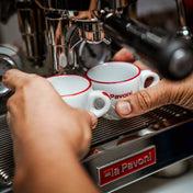 La Pavoni Botticelli Specialty dual boiler espresso machine in stainless steel, alternate view