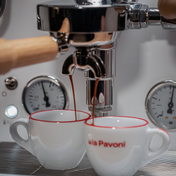 La Pavoni Cellini Evoluzione RT V2 White & Oak Coffee Machine