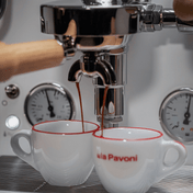 La Pavoni Cellini Evoluzione RT V2 White & Oak - Prestige Coffee - La Pavoni - White