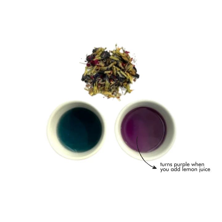 T - bar Royal - T Sapphire Butterfly Pea - flower Tea - Prestige Coffee - T - bar - 25g loose leaf tea